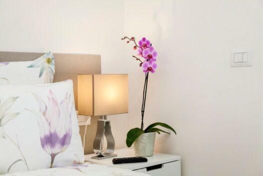 Cristel Apartment - 15 Min Da Milano Cormano Ngoại thất bức ảnh